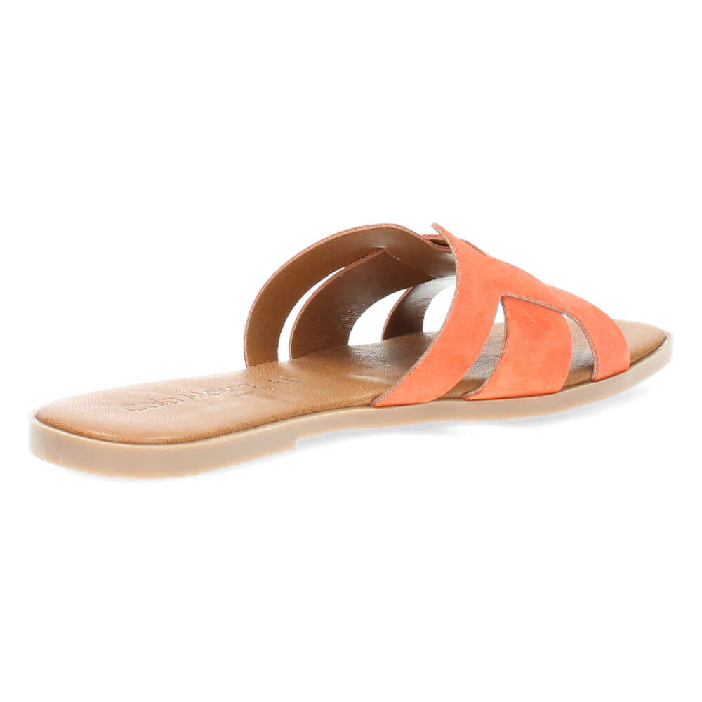 Donkeroranje slippers