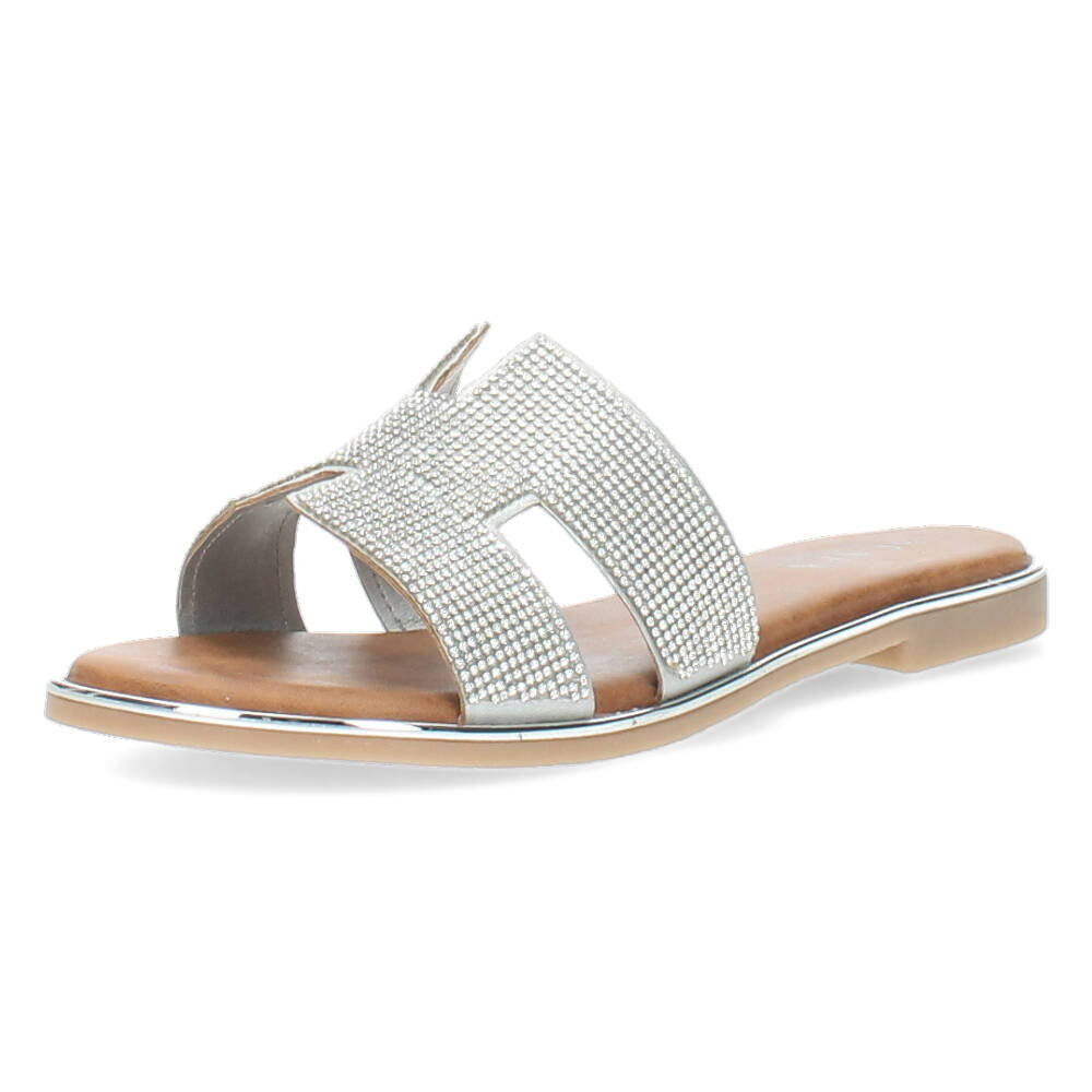 Zilveren slippers