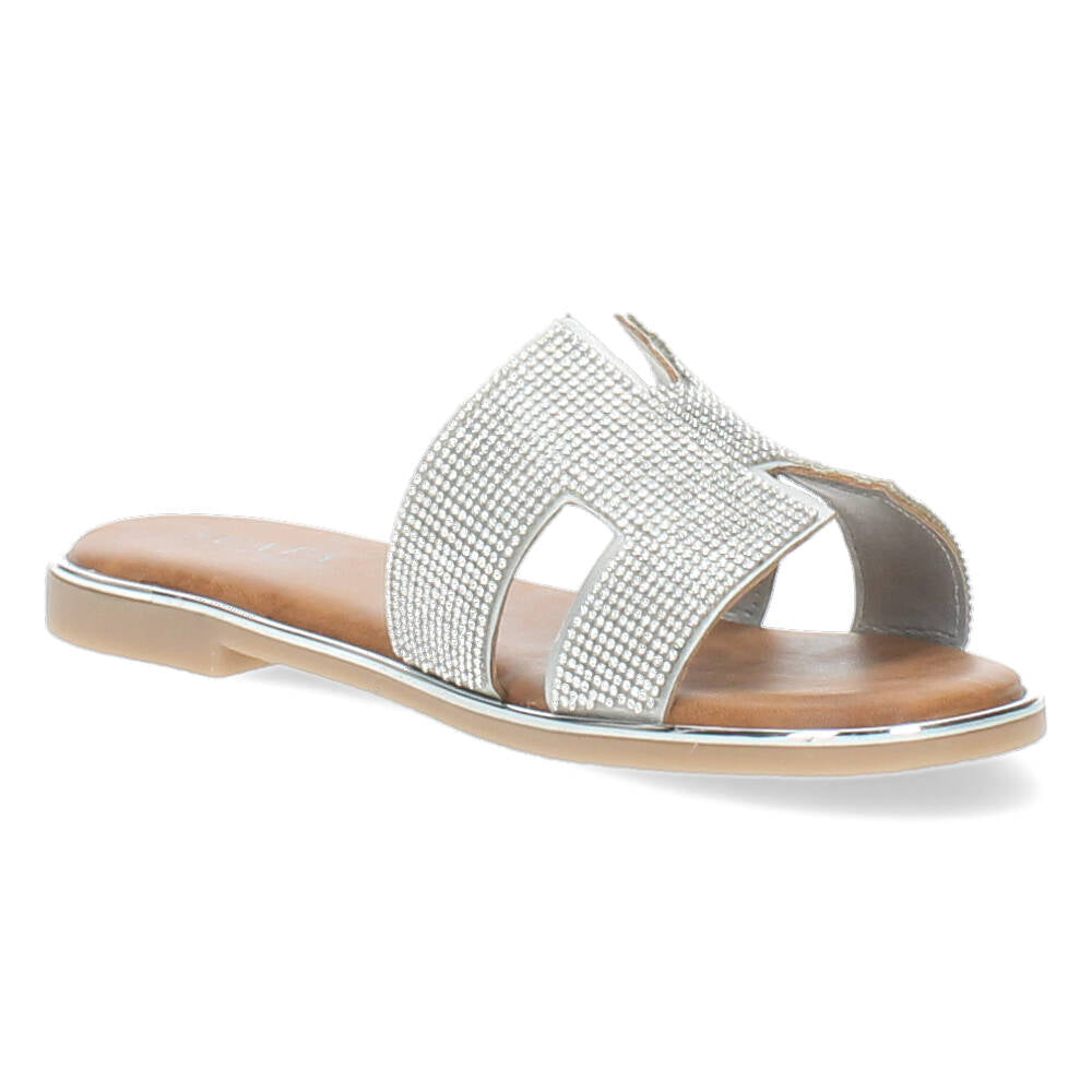 Zilveren slippers