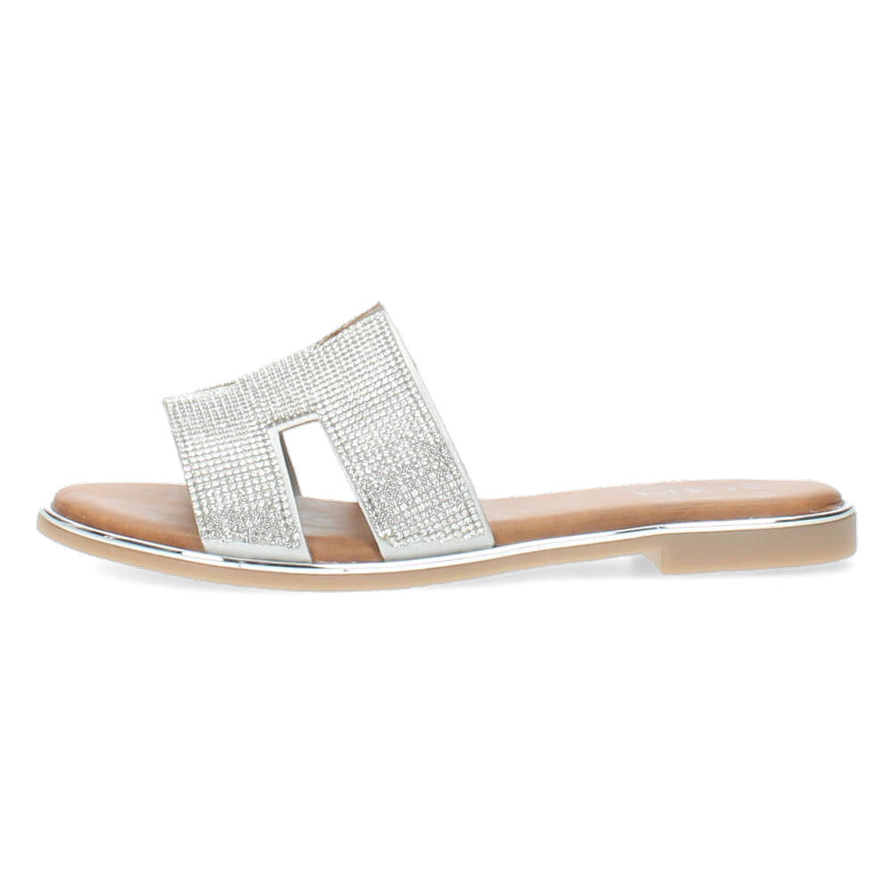 Zilveren slippers