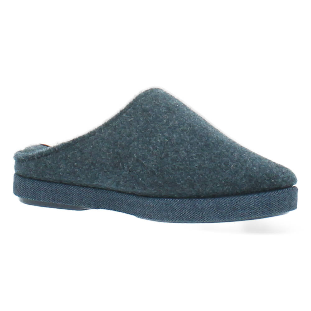blauwe pantoffel
