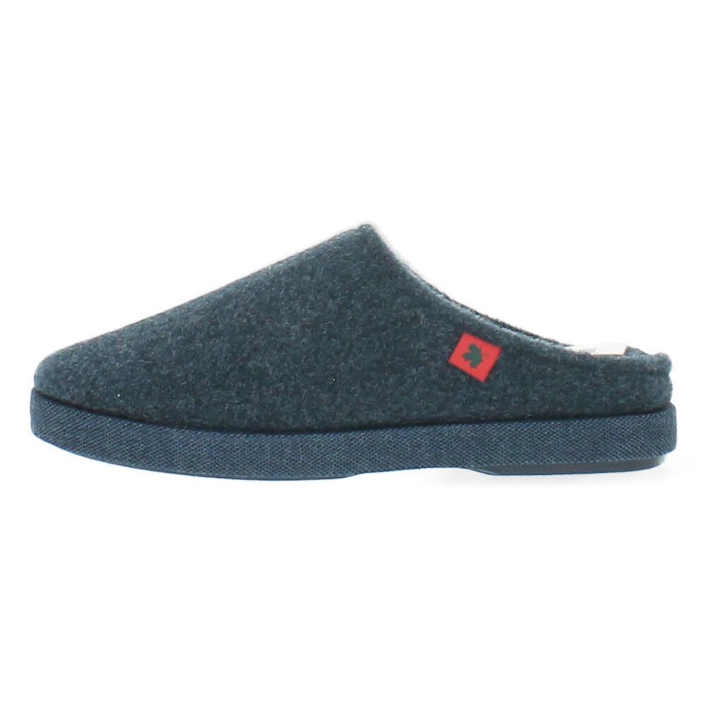 blauwe pantoffel