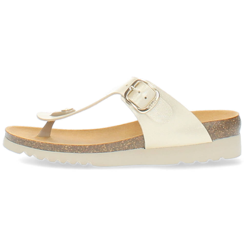 gouden slipper
