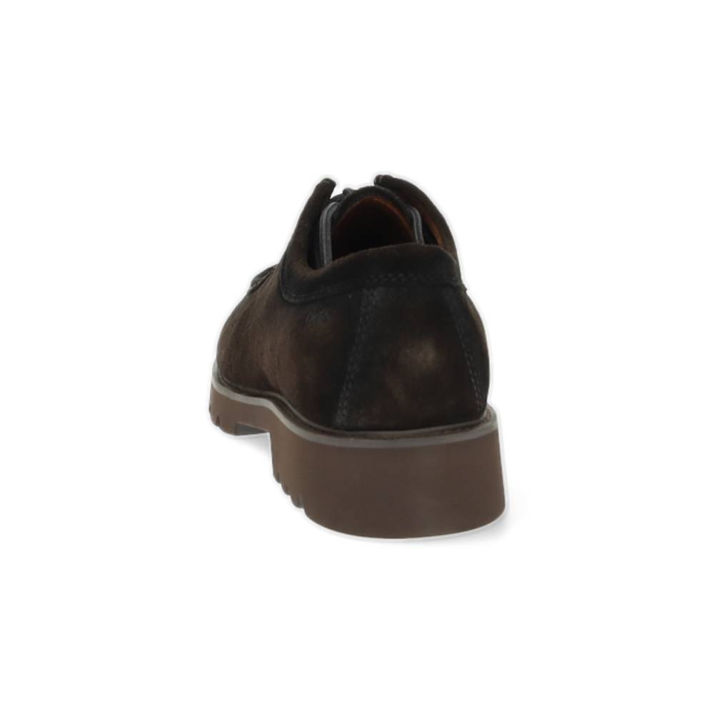 bruine veterschoen
