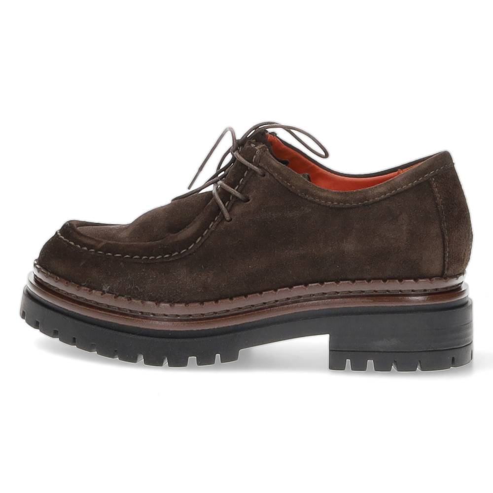 bruine veterschoen