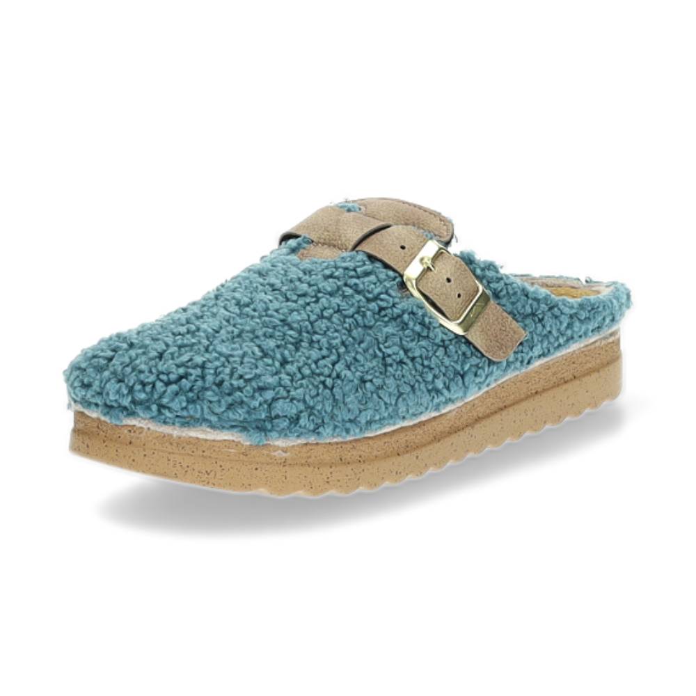 blauwe pantoffel