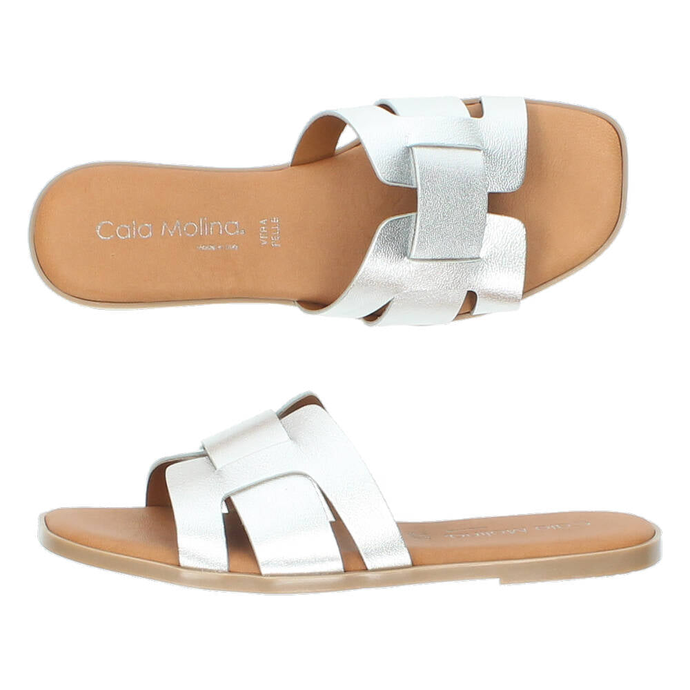 Zilveren slippers