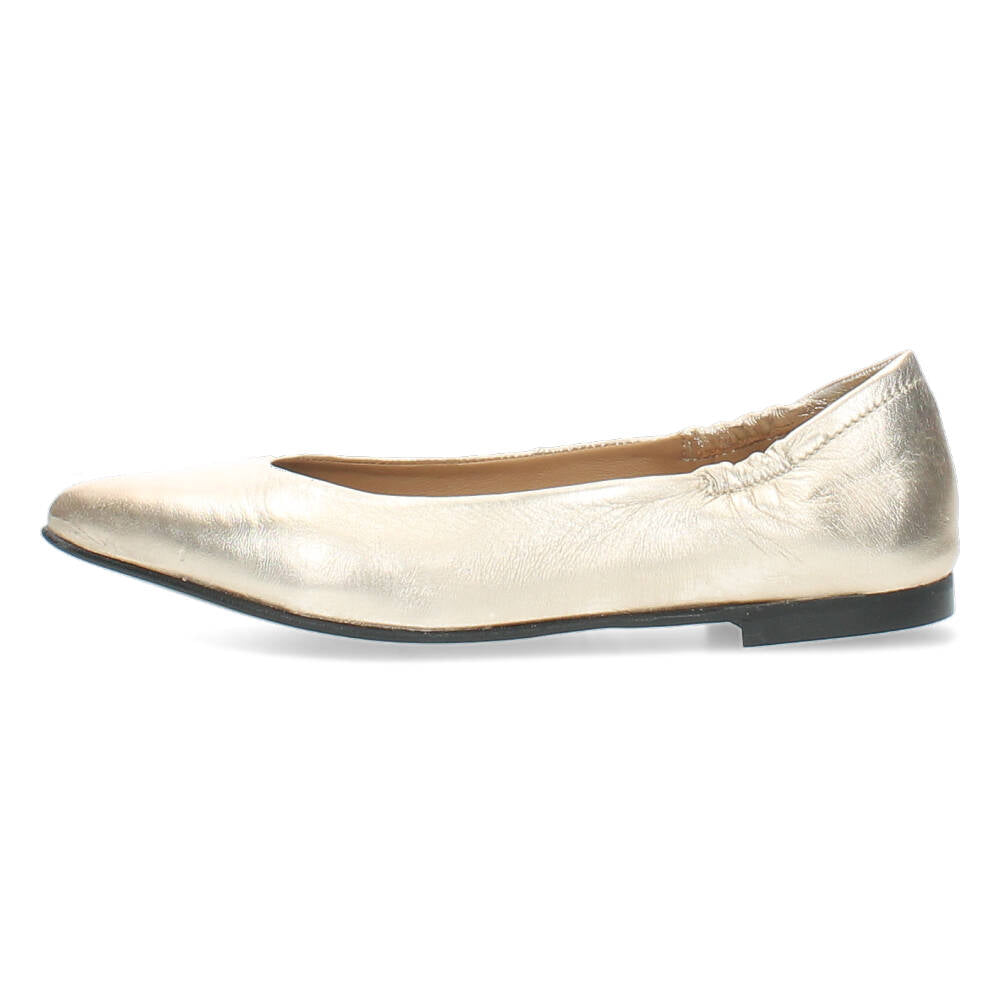 Metallic ballerina's