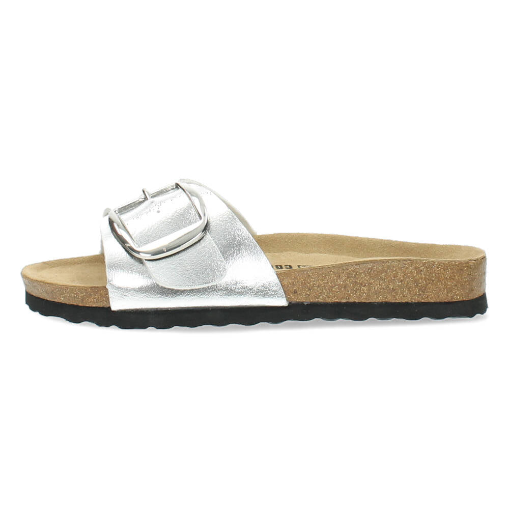 Zilveren slippers