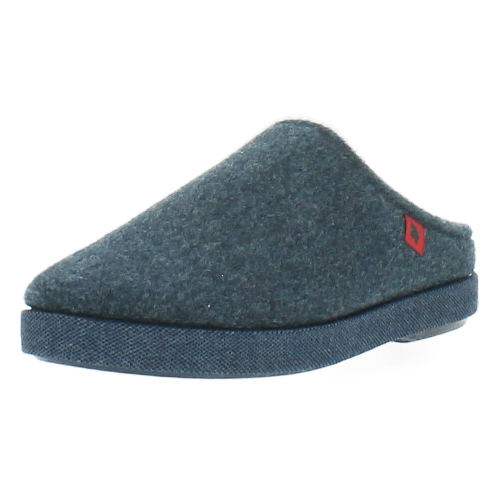 blauwe pantoffel