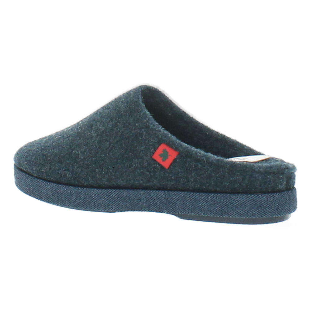 blauwe pantoffel