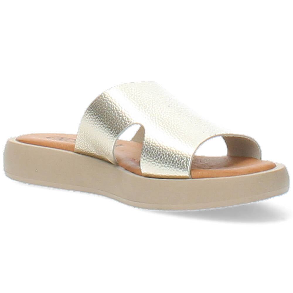 gouden slipper