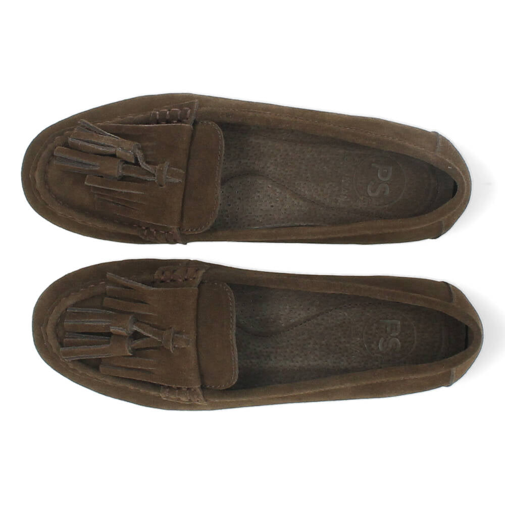 bruine moccasin