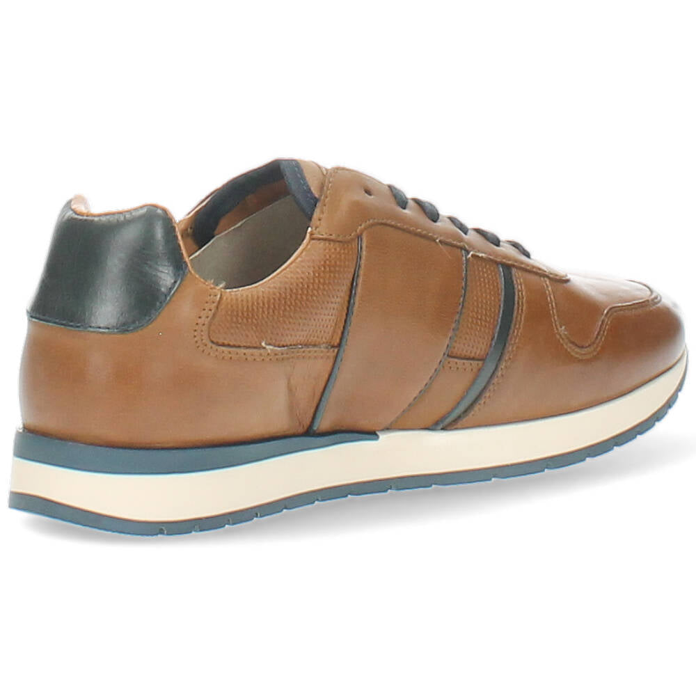 cognac sneaker