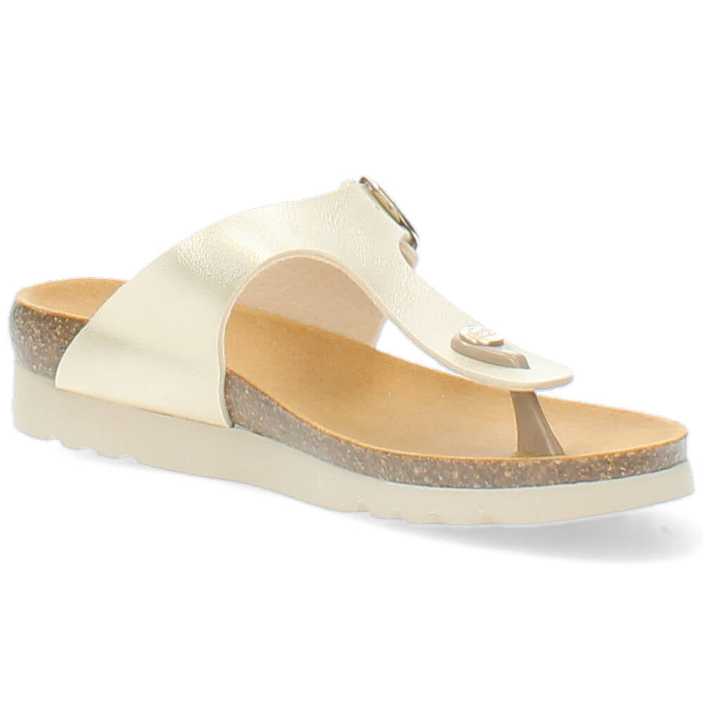 gouden slipper