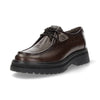 bruine veterschoen