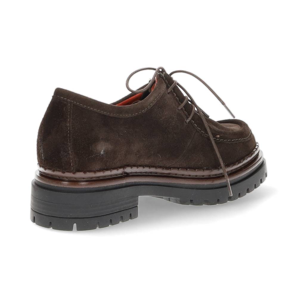 bruine veterschoen