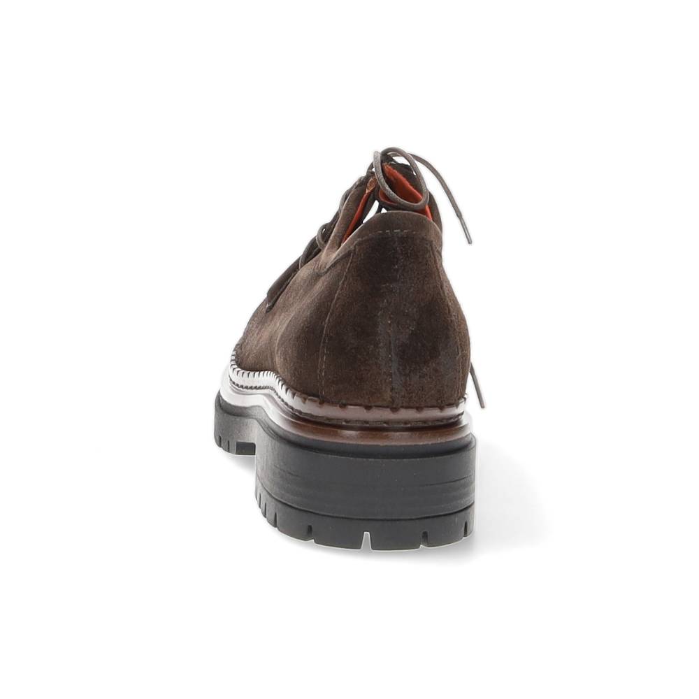 bruine veterschoen