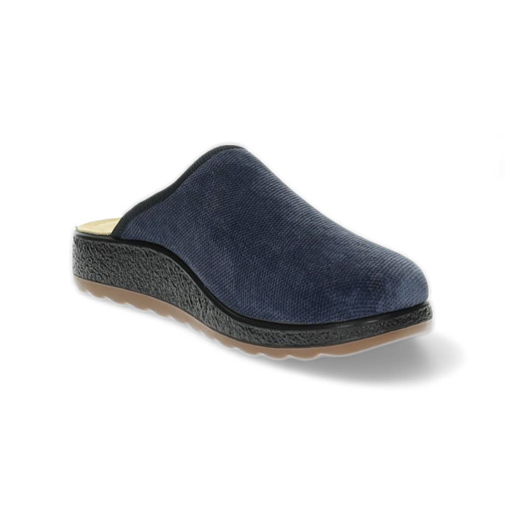 blauwe pantoffel