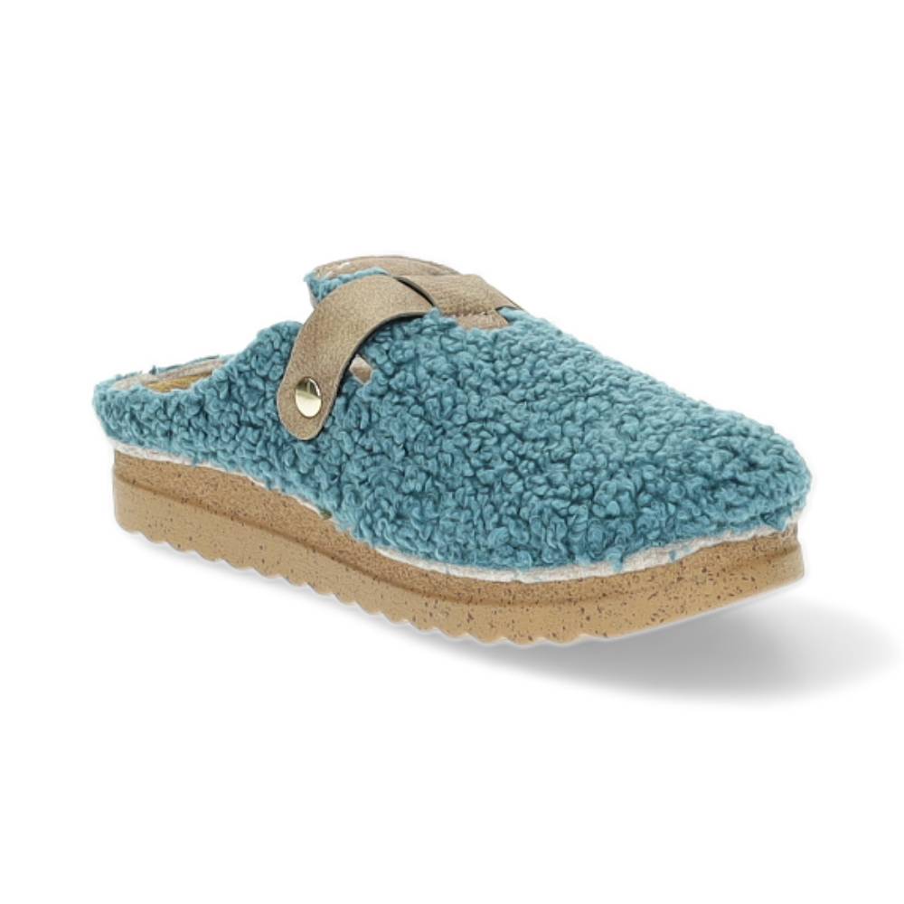 blauwe pantoffel