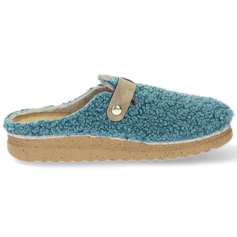 blauwe pantoffel